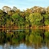 Tydzień dla Amazonii