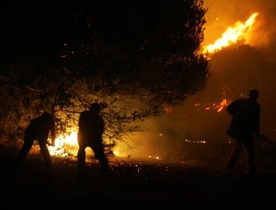 Grecja: świat pomaga gasić pożar lasów