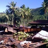 Do 113 wzrosła liczba ofiar tsunami