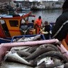 UE: Drastyczne zaostrzenie kontroli połowów