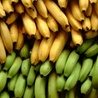 Koniec wojny bananowej 