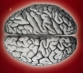 Nauka czytania może "przeprogramować" mózg?