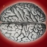 Nauka czytania może "przeprogramować" mózg?