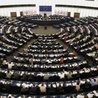 Brawa w europarlamencie dla Borys i Milinkiewicza