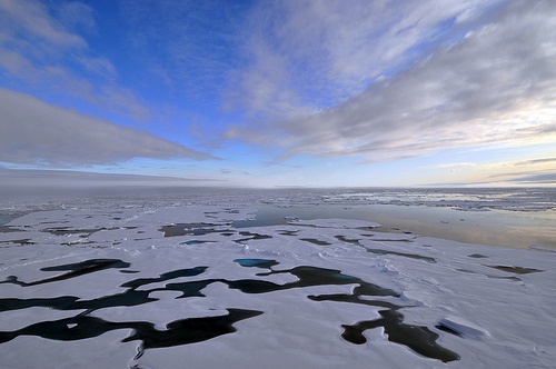 Spór o Arktykę