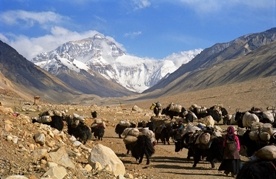 Posprzątają na Mount Everest