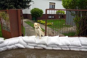 Opolskie: alarmy na 13 wodowskazach