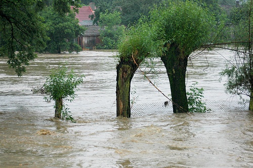 Tarnów: Rekordowa pomoc dla ofiar powodzi