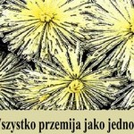 wszystko przemija jako jedno-dzienny kwiat...