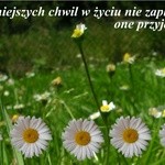 najpiękniejsze chwile