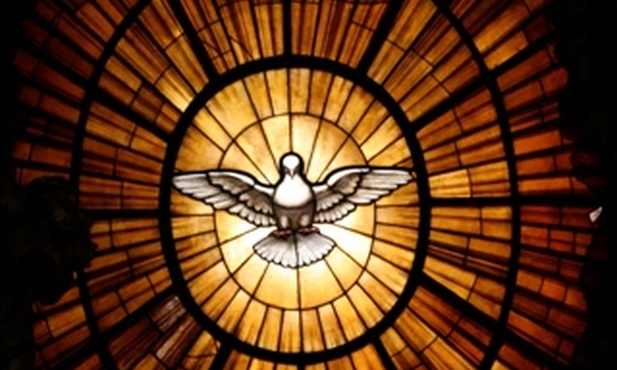 Tylko Duch Święty może ocalić kapłaństwo