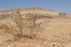 Meksyk: Kościół o zmianach klimatycznych