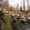Zdewastowano polski cmentarz w Brześciu