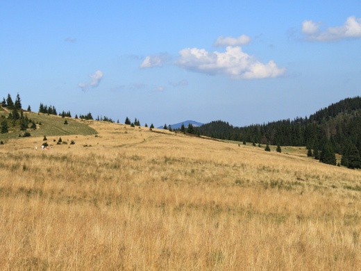 Galeria konkursu "Na papieskim szlaku"