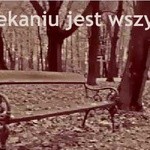 w czekaniu jest wszystko