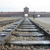 14 minut "mrocznej etiudy" o Auschwitz