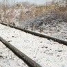 Włochy: Kara dla kolei