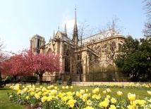 Paryż: odpust w Notre Dame