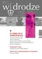 W drodze 3/2011