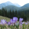 W Tatry wróciła zima