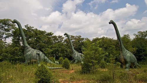 Dinozaury mogły mieć wszy