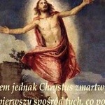 ciesz się życiem!