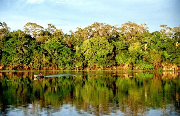 Kościół broni Amazonii