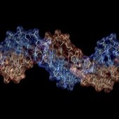 Nowa technika badawcza ukazała "ukryty genom"