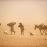 UE zapozna z rozmiarami klęski głodu w Afryce