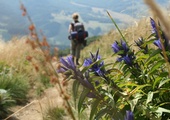 Bieszczady