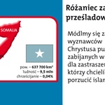 Różaniec 2011