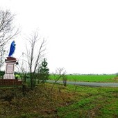Władze Białołęki wielokrotnie zawyżyły cenę gruntu, przyznanego elżbietankom (na zdjęciu).