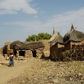 Afryka Zach: 2,5 tys. ofiar cholery