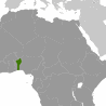 Papież w Beninie: za dwa tygodnie