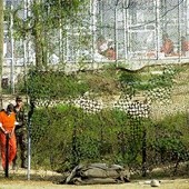 Cień Guantanamo
