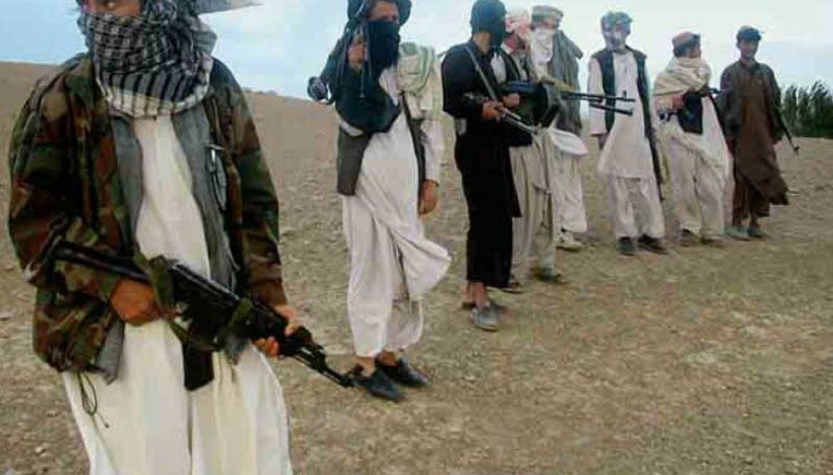Dobry klimat dla talibów