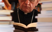 Arcybiskup Damian Zimoń, Metropolita Górnośląski