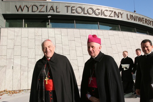 Arcybiskup Damian Zimoń, Metropolita Górnośląski
