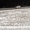 Niemcy: Śnieg i lód na drogach