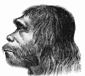 Mózgi neandertalczyków trochę inne