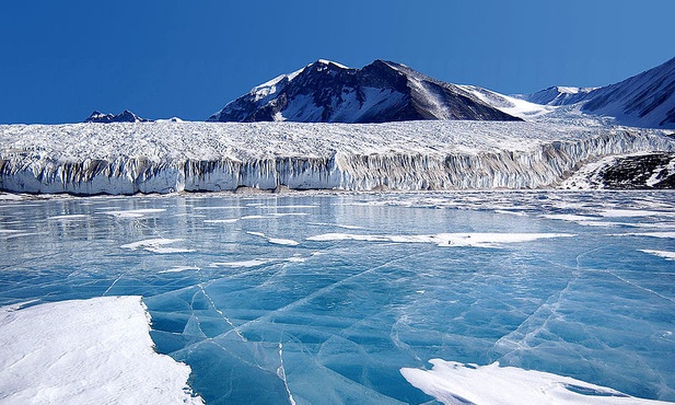Szczątki roslin i zwierząt pod lodem Antarktydy