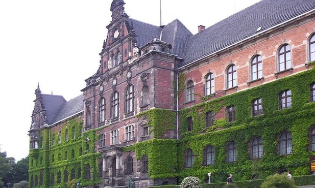 Podglądanie konserwacji