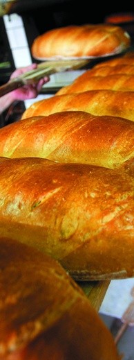 Chleb smakuje jak życie