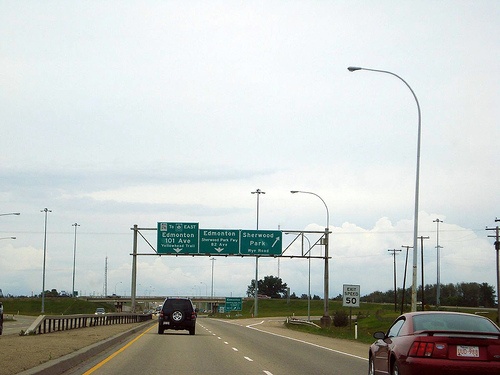 Pleśń stworzyła mapę autostrad