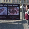 Bydgoszcz: Antyaborcyjna wystawa wróciła