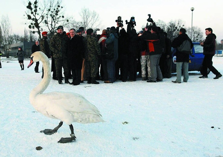 Politycy też jedzą drób