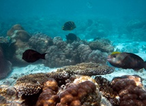 Morskie rezerwaty w Australii