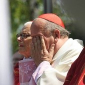 Policzkowanie kardynała