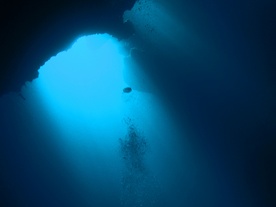 Morskie głębiny