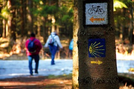  Od pięciu lat Via Regia – podobnie jak Camino de Santiago – należy do grupy kulturowych szlaków Starego Kontynentu